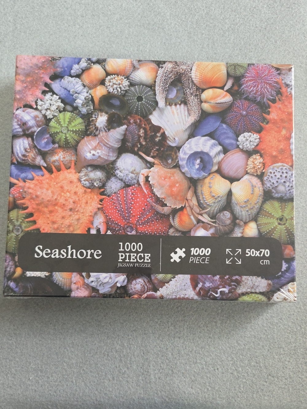 Seashore 1000-Piece Jigsaw Puzzle - Multicolor Shells